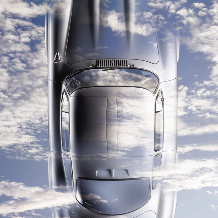 GULLWING IN HEAVEN av René Staud 